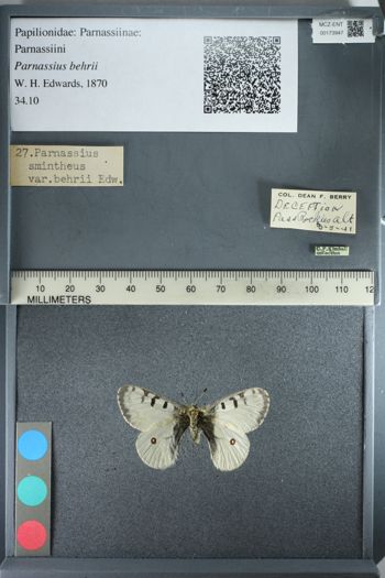 Media type: image;   Entomology 173947